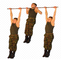 image002.gif